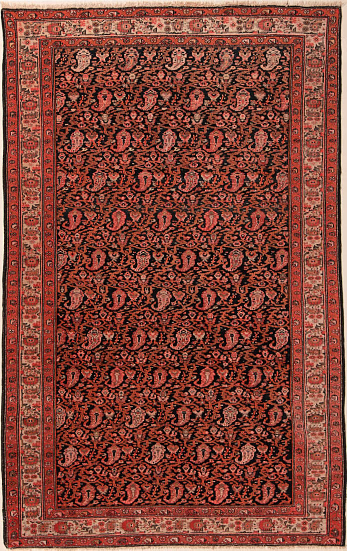 Malayer